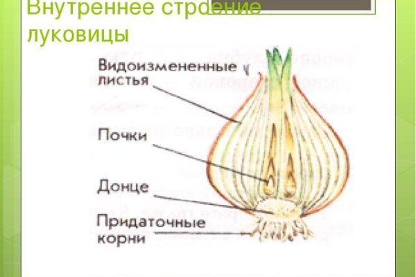 Ссылка на кракен через тор