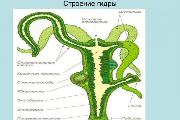 Кракен купить гашиш