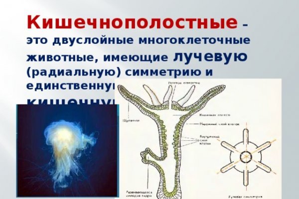 Даркнет каталог